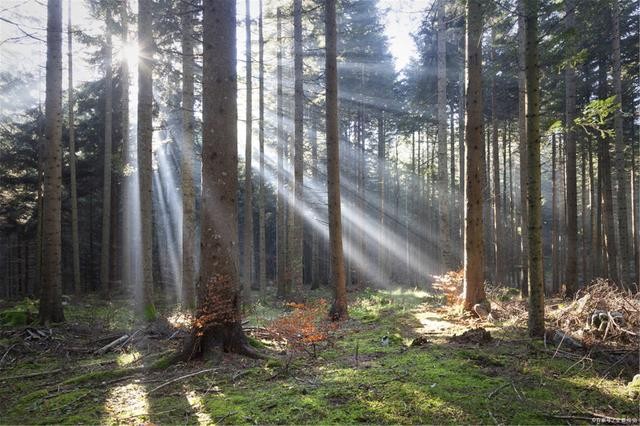 什么是負折射率？何為負折射率？