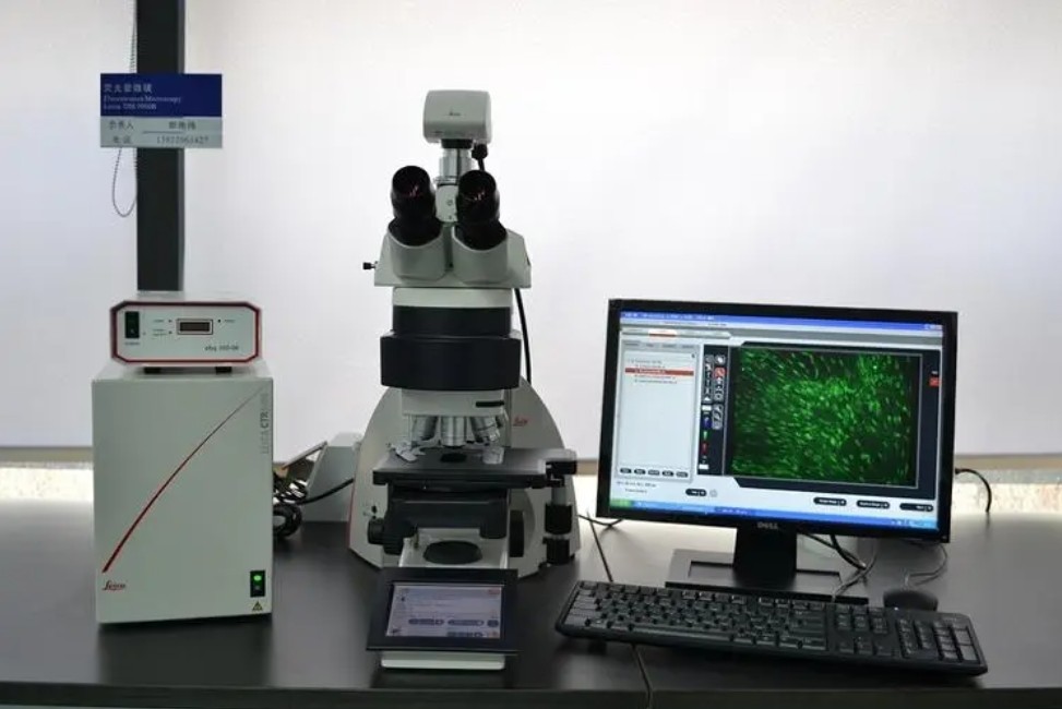 如何正確選擇激發濾光片和熒光濾光片
