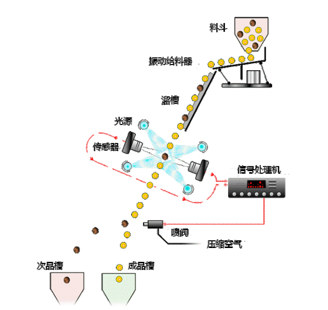 色選機工作原理動態(tài)圖