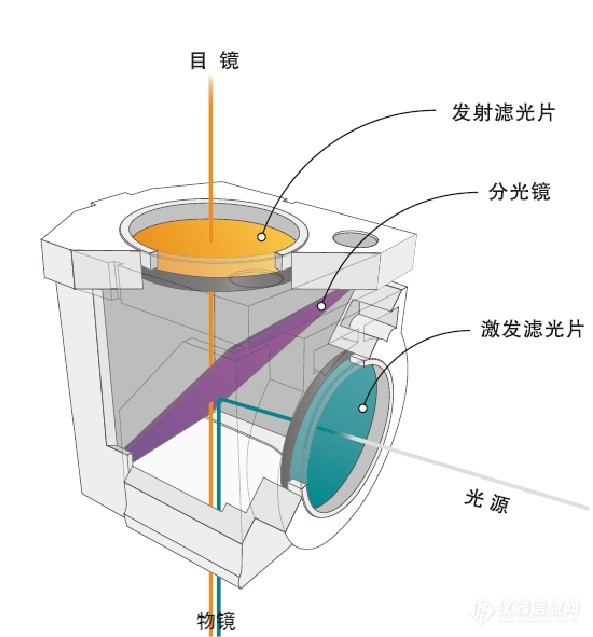 熒光顯微鏡常規光學元件應用圖